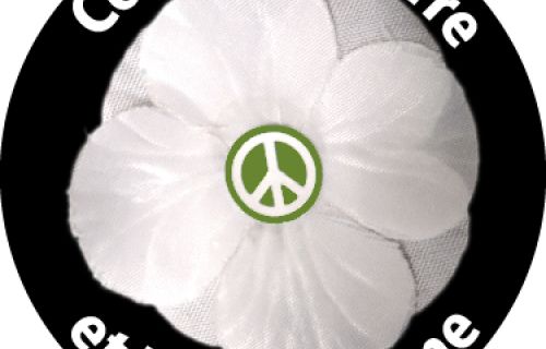 En souvenir de toutes les victimes des guerres, il faut dire « non » aux armes nucléaires
