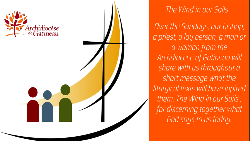Like the wind in our sails || sunday fabruary 27th eighth Sunday of the ordinary time year C